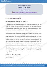 Đề số 4 - Đề kiểm tra học kì 2 - Ngữ văn 11